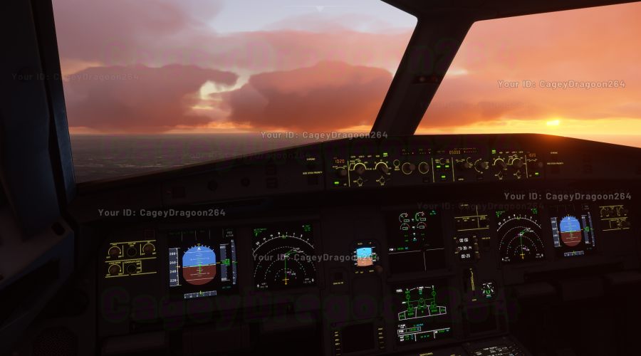 Screenshot by CageyDragoon264