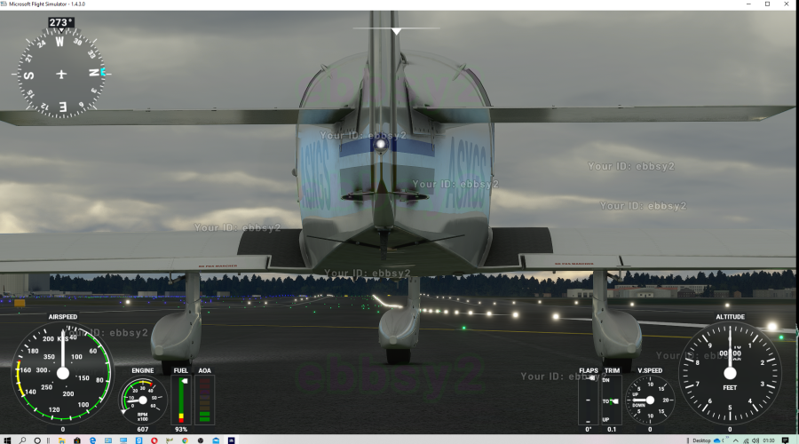Screenshot by Ebbsy2