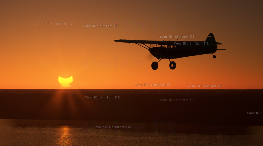 Screenshot by Simtom112