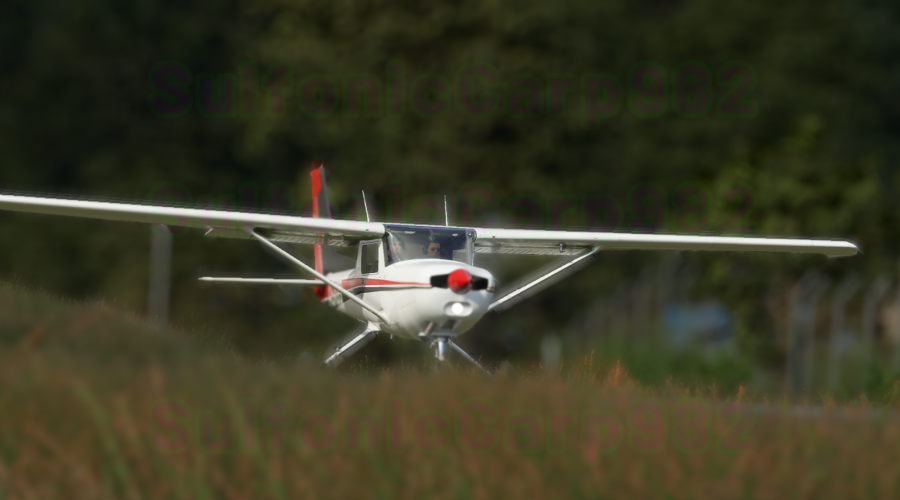 Screenshot by SulfonicCarp982